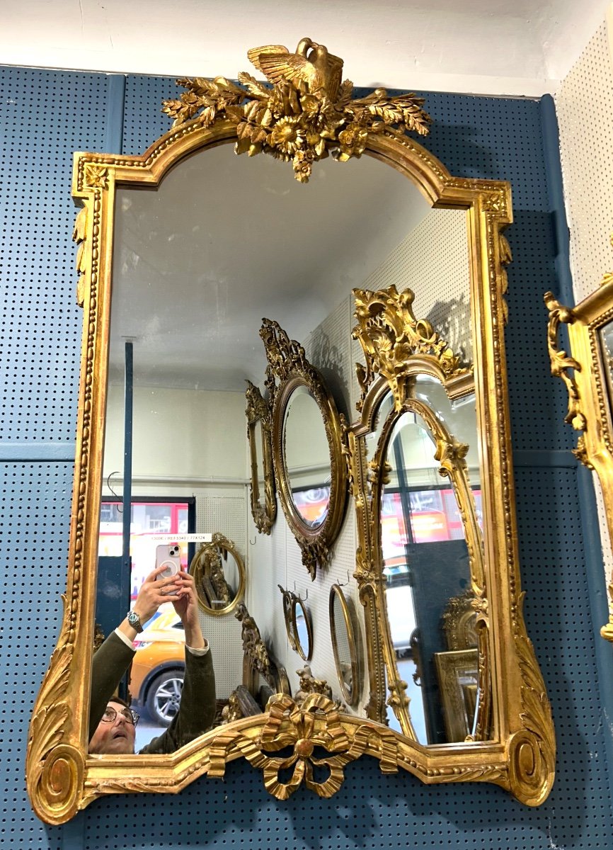 Miroir Louis XVI Oiseaux 77x124 Cm