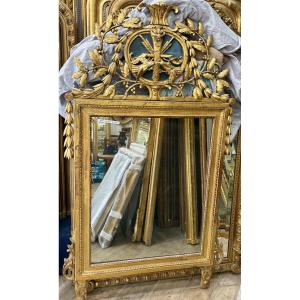 Miroir D’époque Louis XVI Oiseaux. 157x91cm