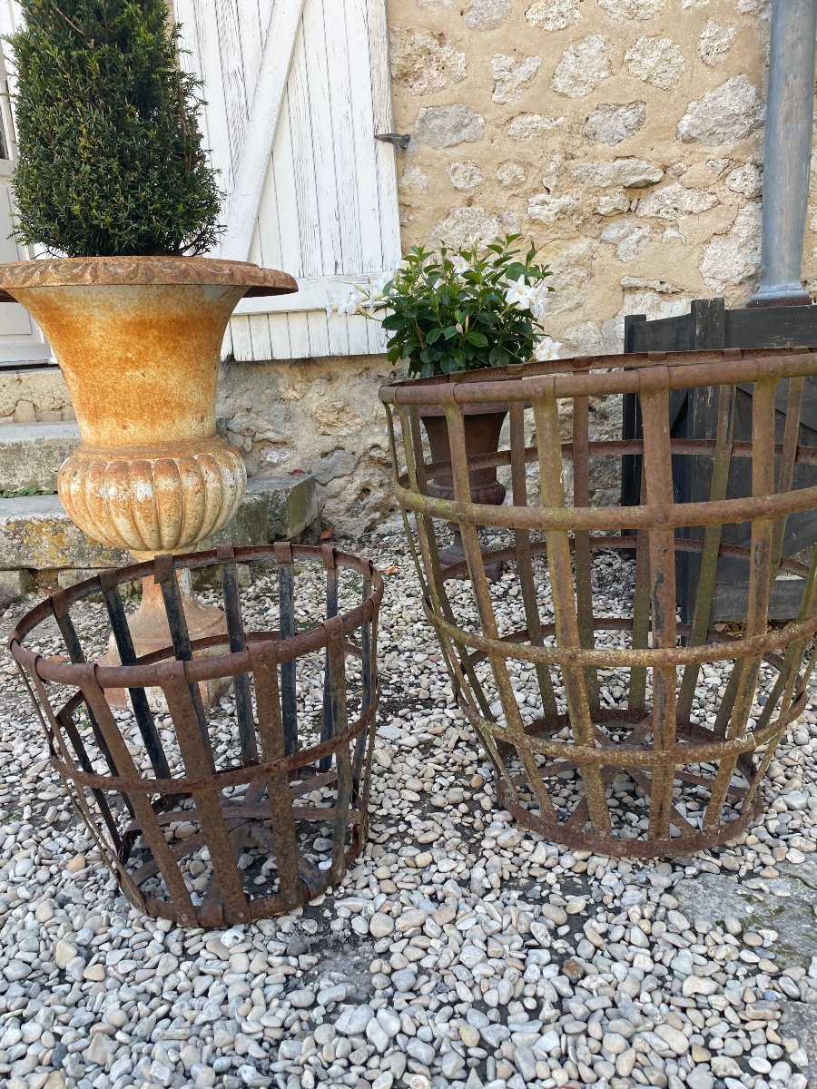 2 Dame-jeanne Baskets -photo-2