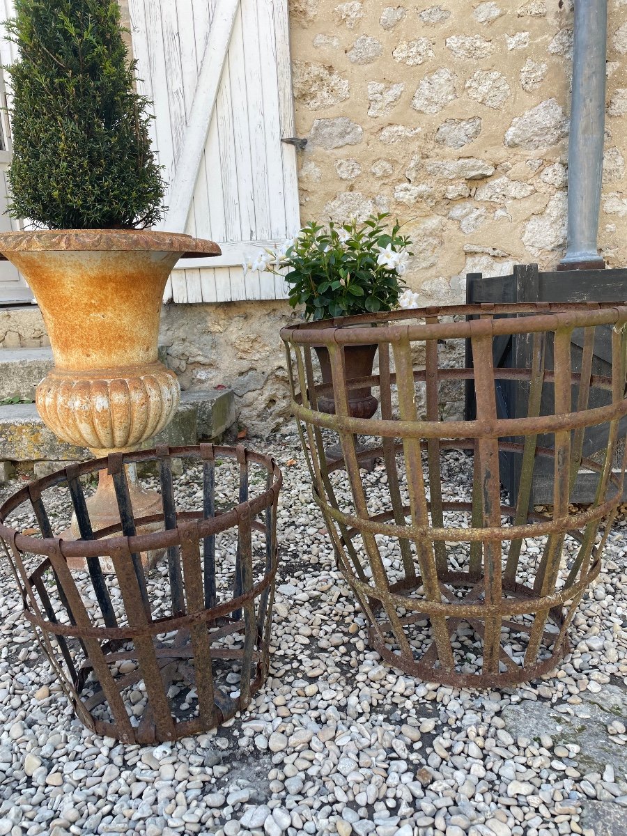 2 Dame-jeanne Baskets 