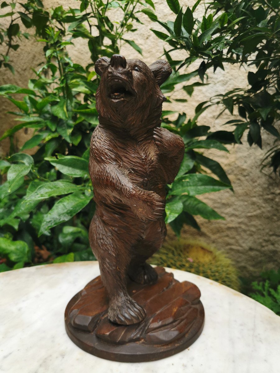 Brienz Or Black Forest Bear, Late 19th Century