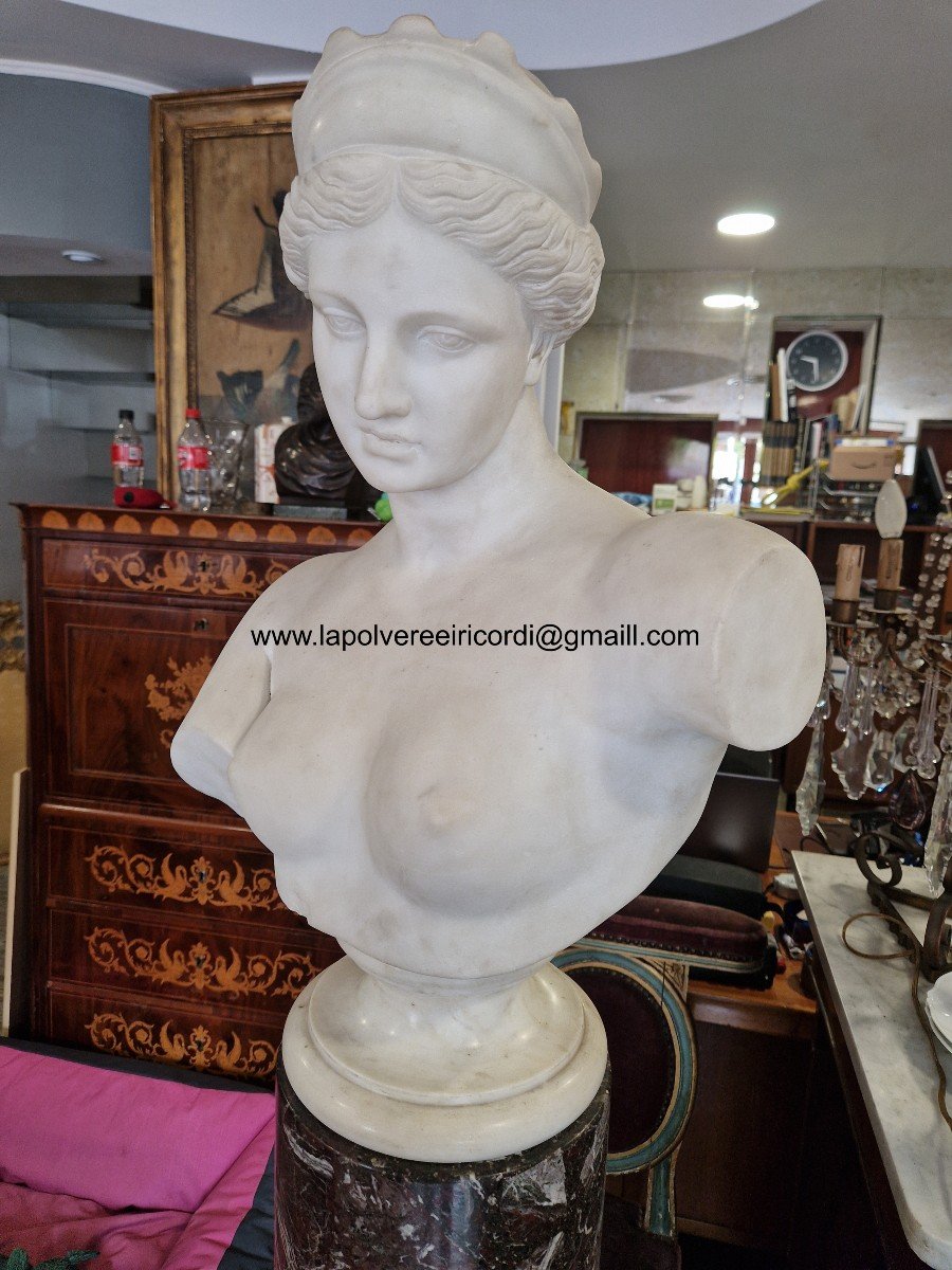 Buste De Vénus En Marbre Blanc De La Première Moitié Du XIXème Siècle De Belle Qualité.-photo-2