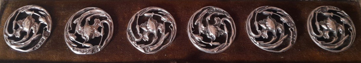 Set Of Silver Art Nouveau Buttons In Their Case, With An Iris Motif-photo-2