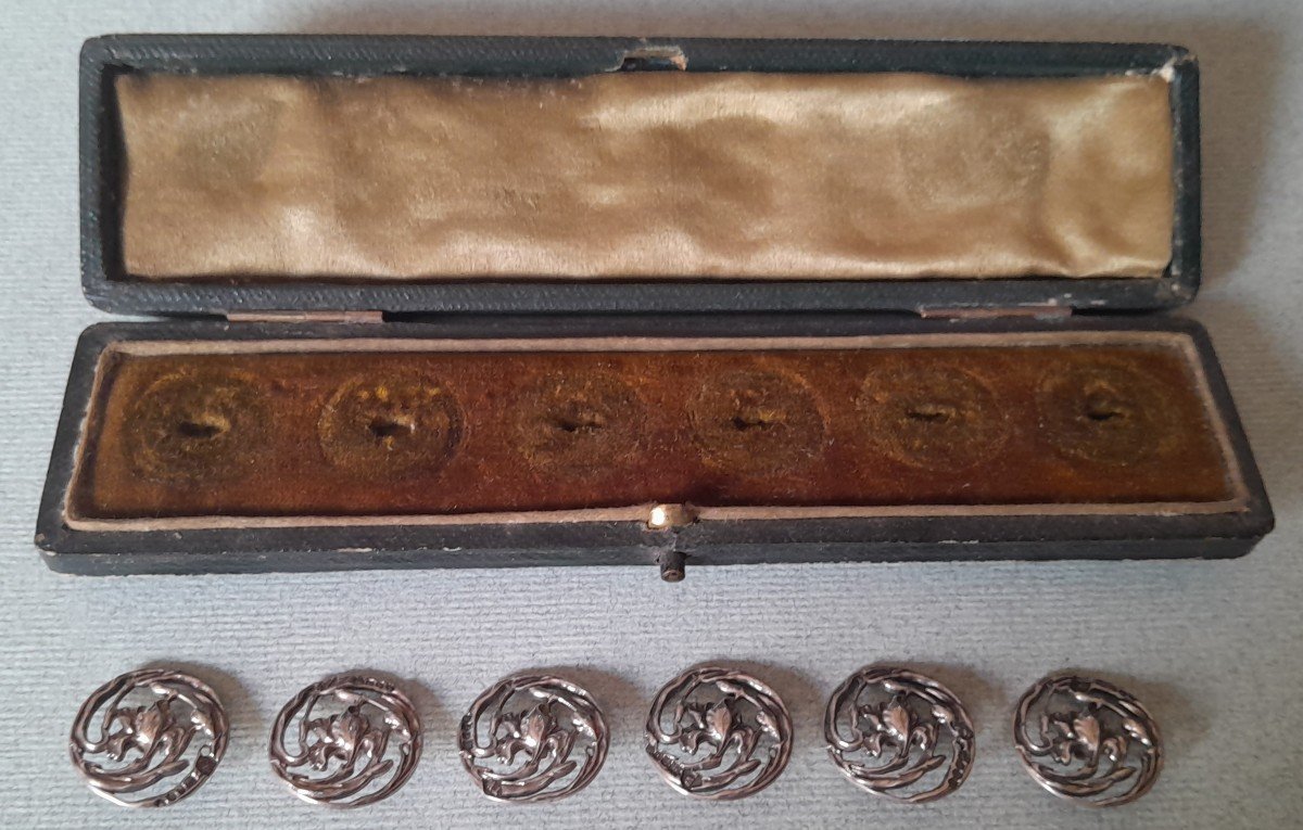 Set Of Silver Art Nouveau Buttons In Their Case, With An Iris Motif-photo-3