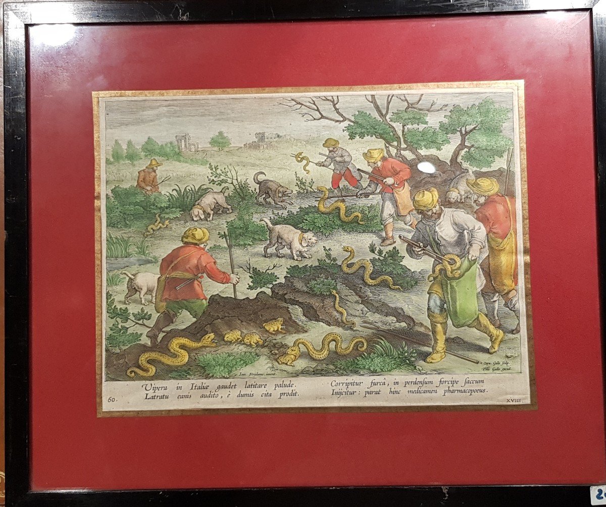 Gravure De Chasse: La Chasse Aux Viperes-photo-2