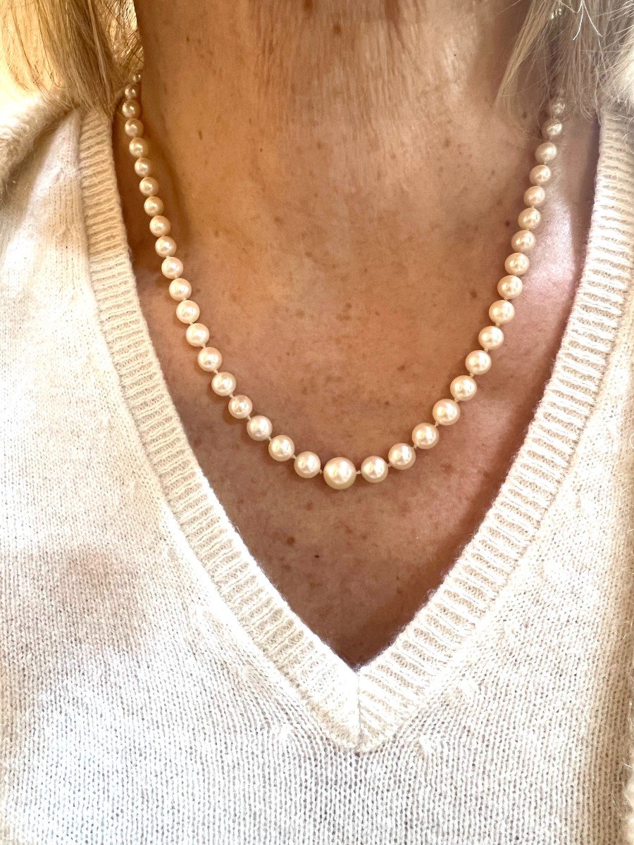 40 Cm Pearl 18 Carat Yellow Gold Necklace-photo-2