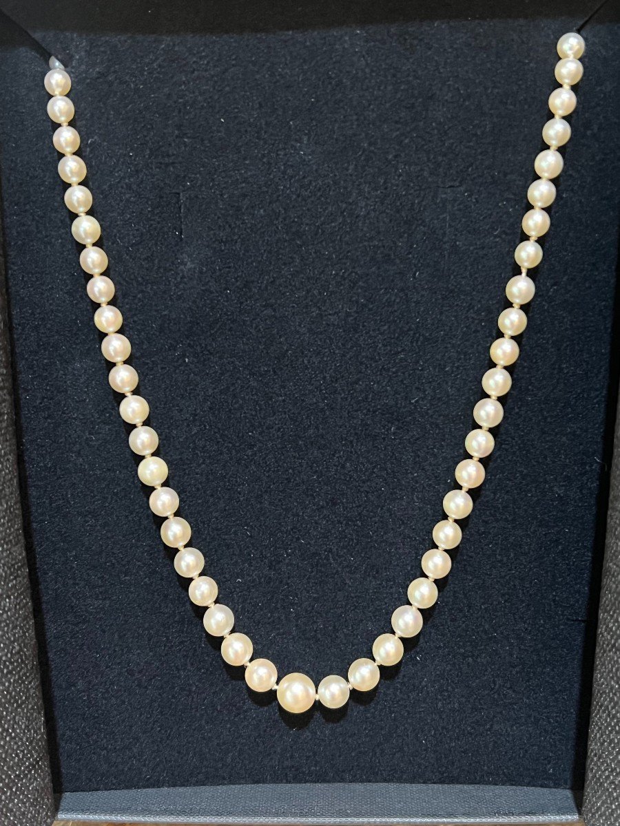 Collier Perles 43 Cm Or Jaune 18 Carats-photo-3