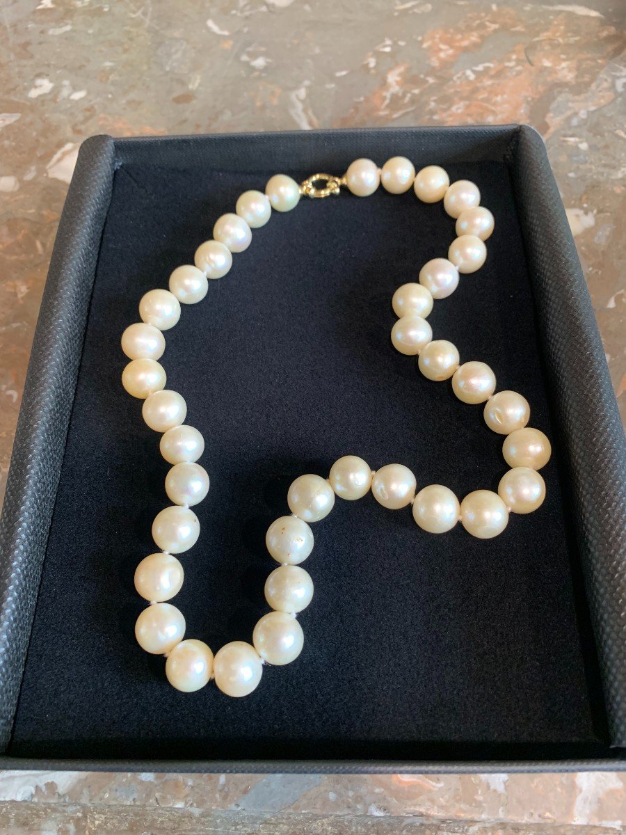 11mm Pearls 18 Carats Yellow Gold Necklace-photo-3