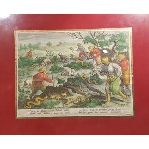 Gravure De Chasse: La Chasse Aux Viperes