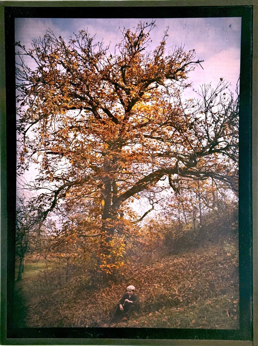 Autochrome "Jeune homme devant un arbre en automne" C. 1905-photo-3