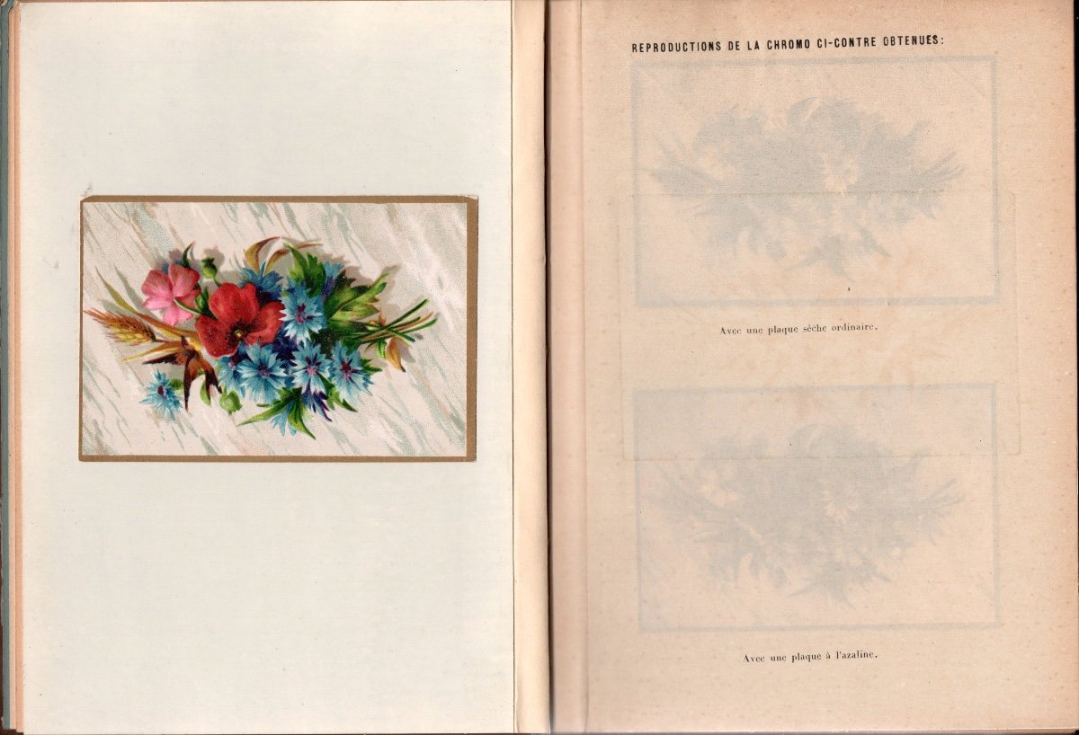 La Photographie Des Objets Colorés , H.G. Vogel 1887-photo-3