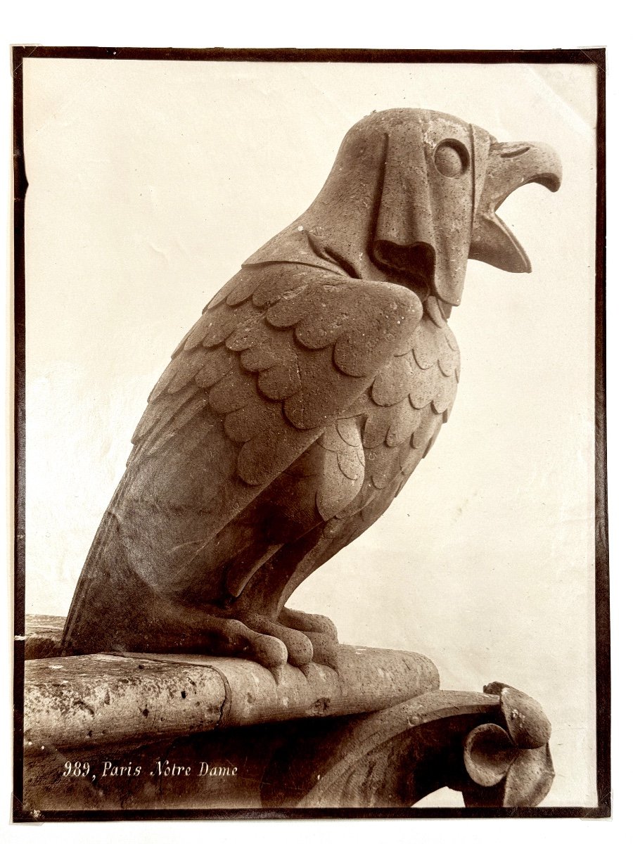 Leopold Mercier, Chimera Of Notre-dame De Paris C.1890-photo-2