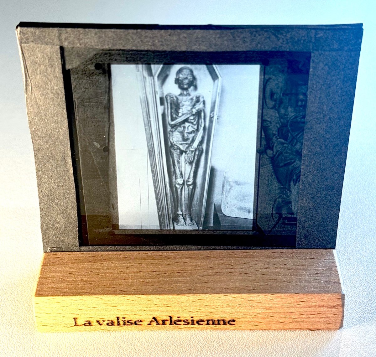 Momie , Plaque De Verre C. 1900-photo-3