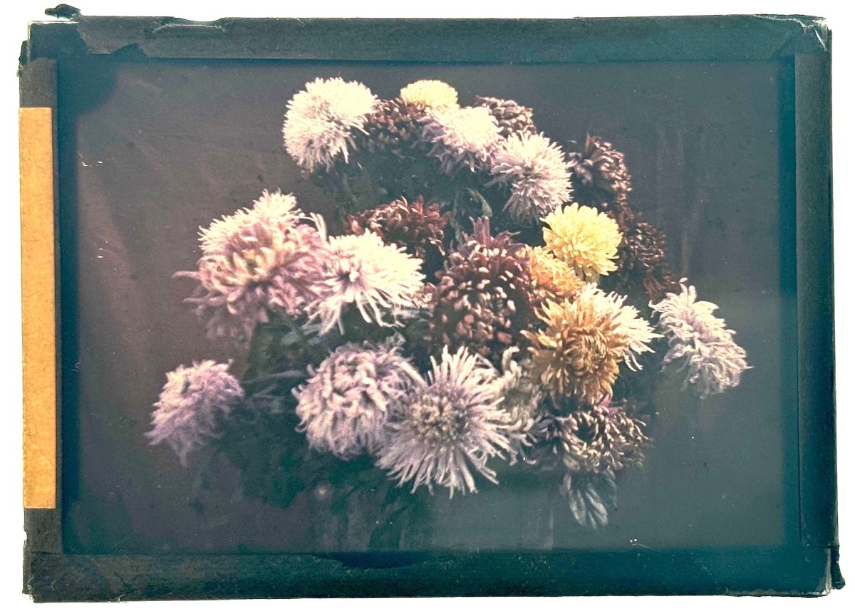 Autochrome -  Composition Florale  - Circa 1910-photo-2