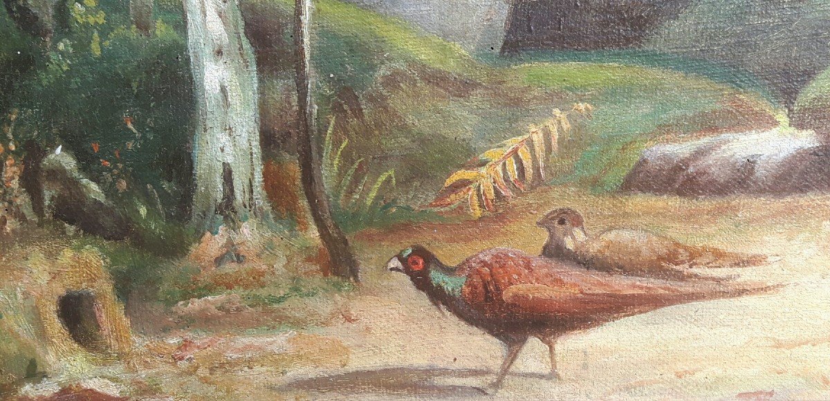 19th Century Painting - Landscape With Pheasants-photo-3