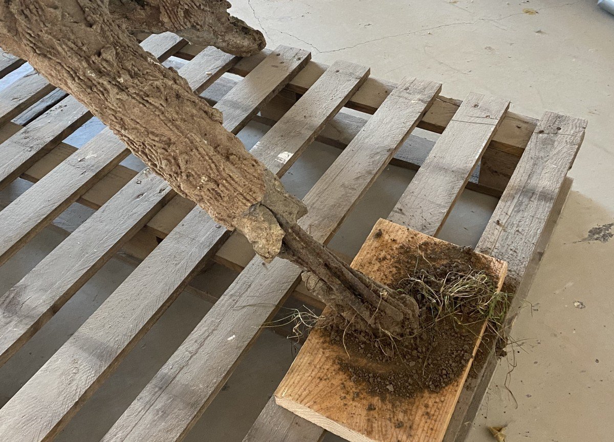 Table De Jardin En Beton-photo-3