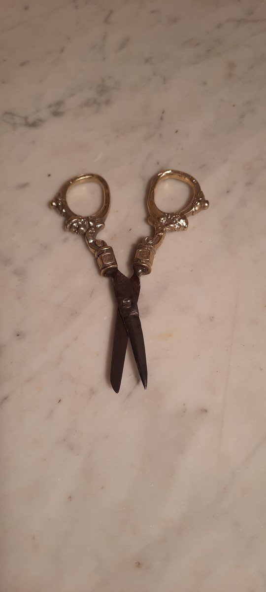 Pair Of Bronze Scissors 19th Century-photo-3