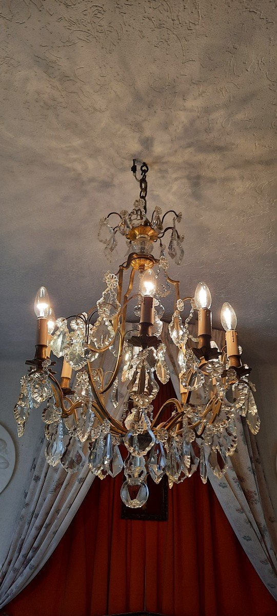 New Cage Chandelier Lights 19th Century