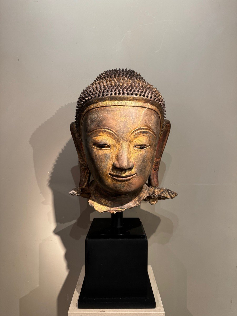 Grande tête de Bouddha en terre cuite dorée , Birmanie, états Shan, Fin 18e S.-photo-2