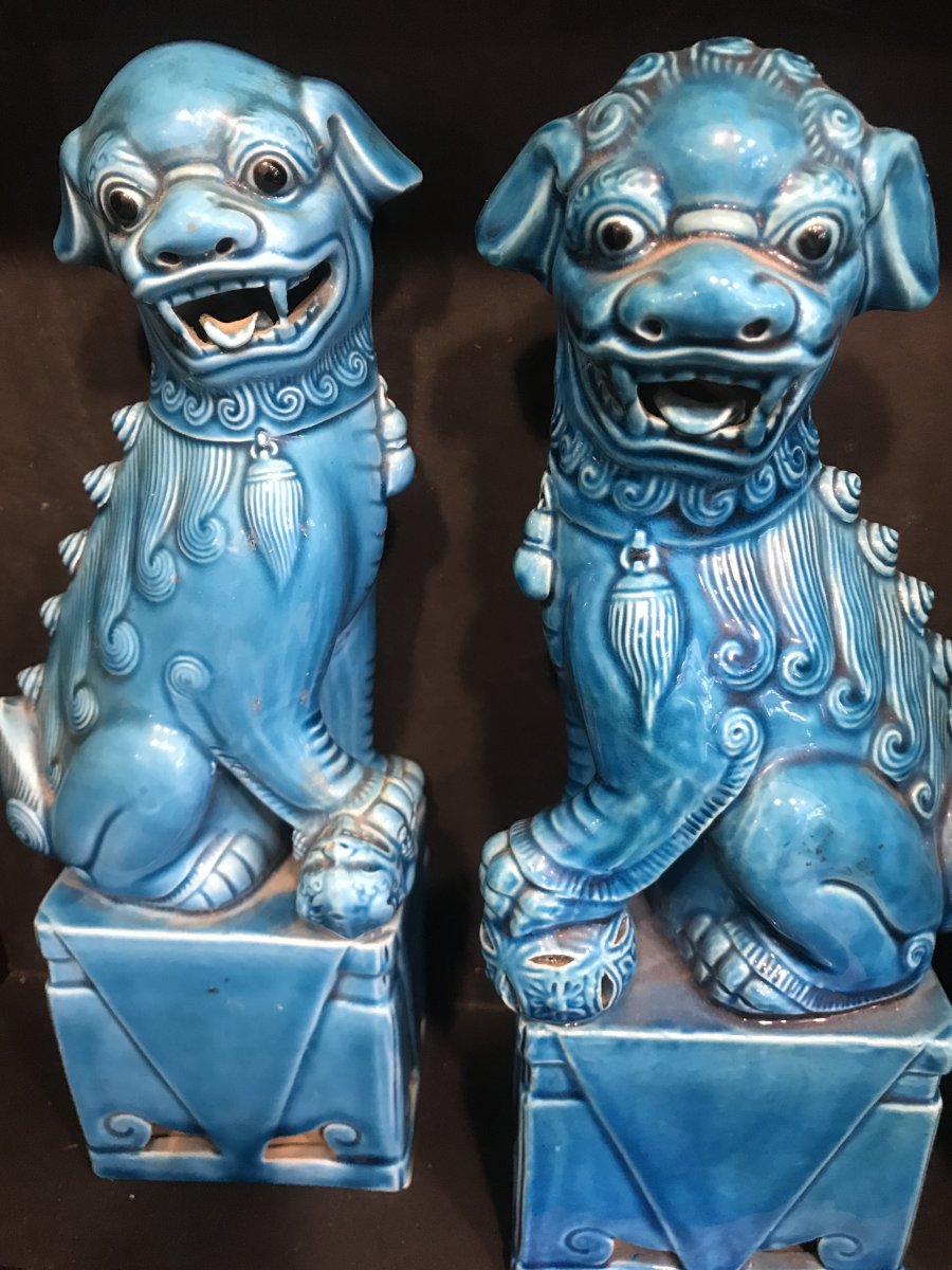 Pair Of Fô Dog-photo-1