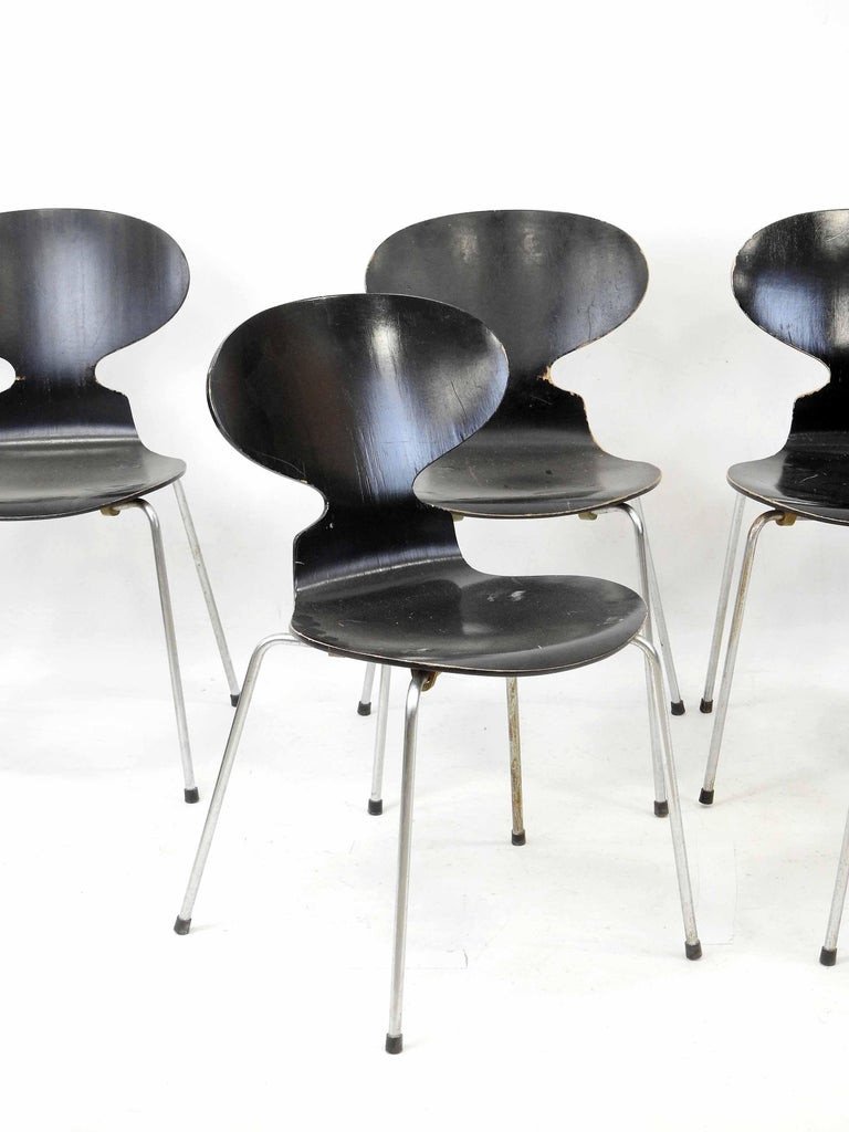 Arne Jacobsen (1902-1971) Six Chairs Model 3101. Edition Fritz Hansen-photo-2