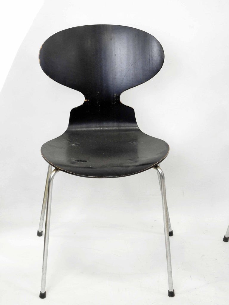 Arne Jacobsen (1902-1971) Six Chairs Model 3101. Edition Fritz Hansen-photo-3