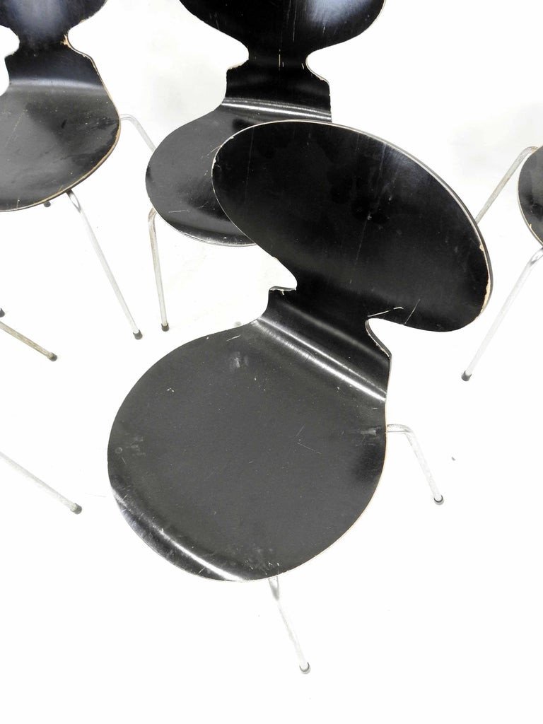 Arne Jacobsen (1902-1971) Six Chairs Model 3101. Edition Fritz Hansen-photo-4