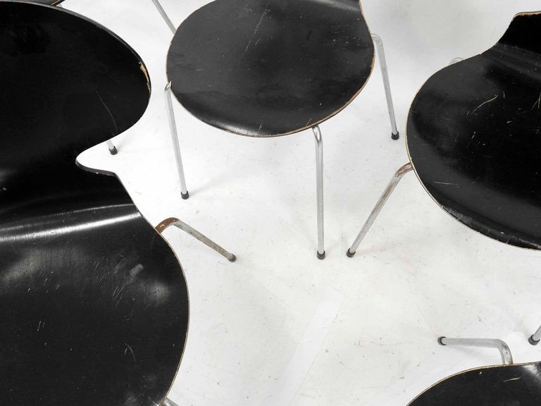 Arne Jacobsen (1902-1971) Six Chairs Model 3101. Edition Fritz Hansen-photo-3