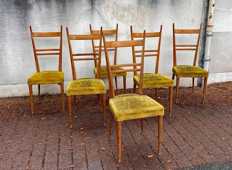 Roset , 6 Chaises à Hauts Dossiers En Frêne Circa 1950 , Style Gio Ponti-photo-8