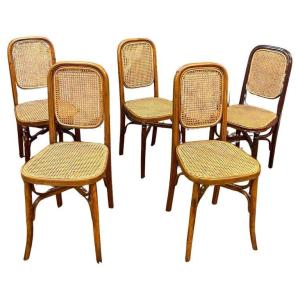 Suite Of 5 Thonet Style Chairs In Bent Wood Circa 1900
