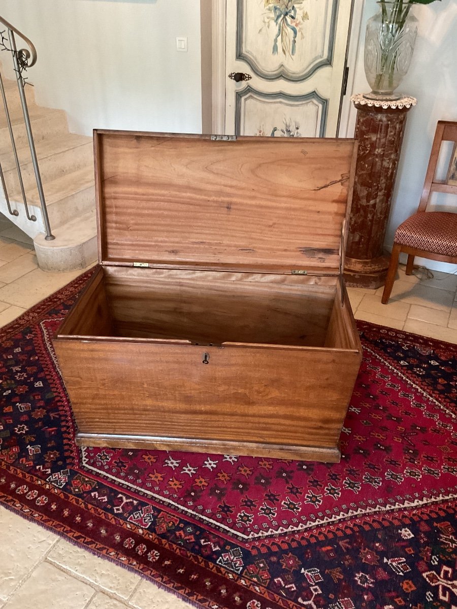 Pretty Slightly Conical Travel Trunk In Camphor Wood 19th Century-photo-3