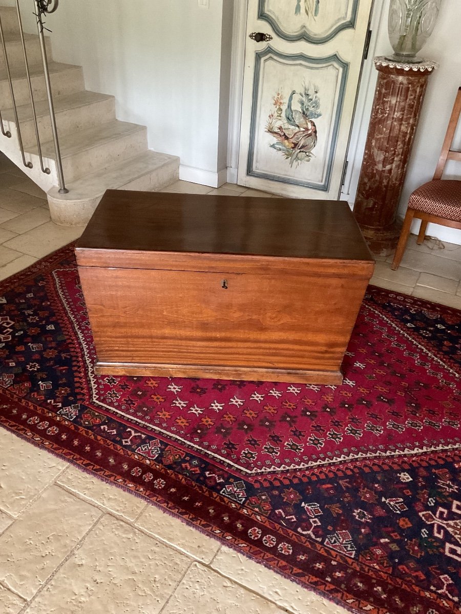 Pretty Slightly Conical Travel Trunk In Camphor Wood 19th Century