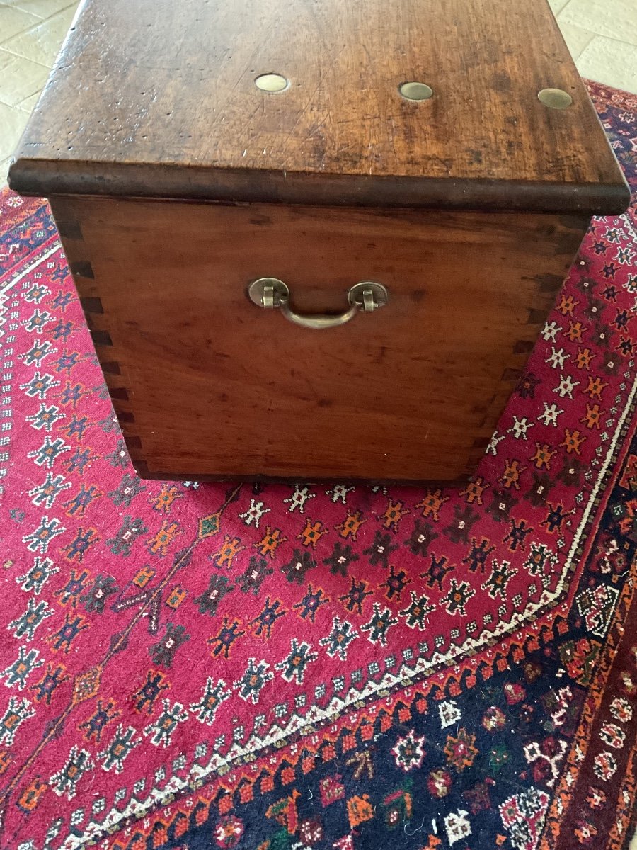 Rare And Spectacular Camphor Wood Chest -photo-3