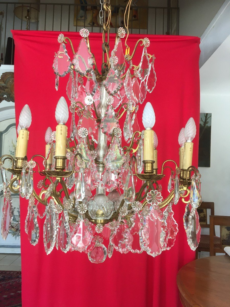 Crystal Plates Cage Chandelier-photo-8