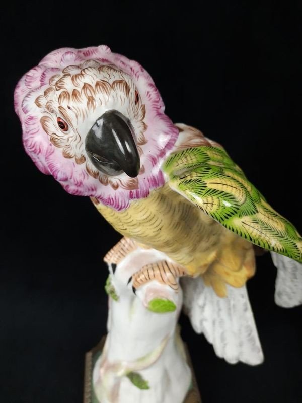 Porcelain Sculpture Of A Parrot - Paris 20th Century-photo-3