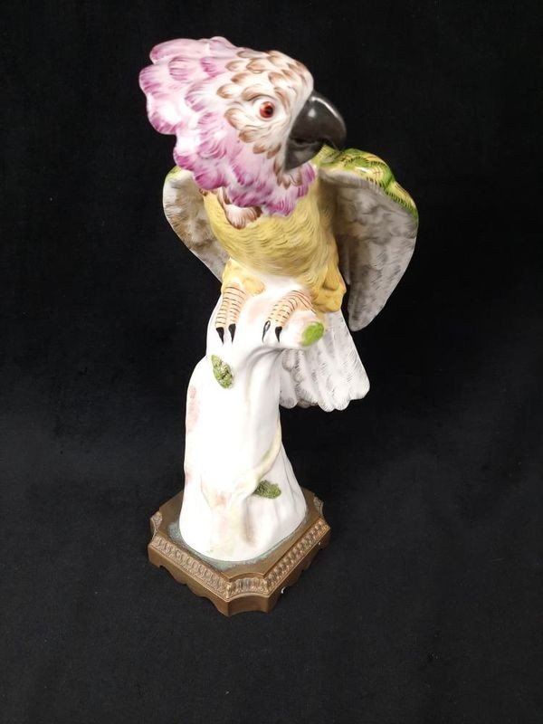 Porcelain Sculpture Of A Parrot - Paris 20th Century-photo-4