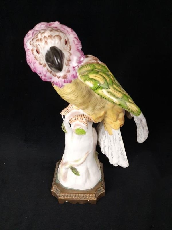 Porcelain Sculpture Of A Parrot - Paris 20th Century-photo-2