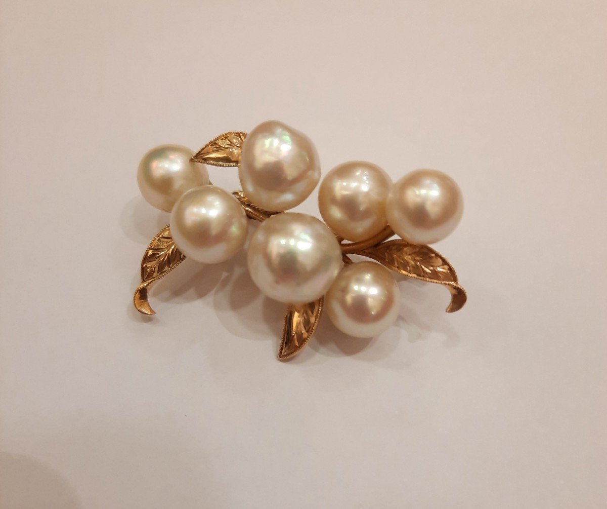 Gold And Pearl Brooch 