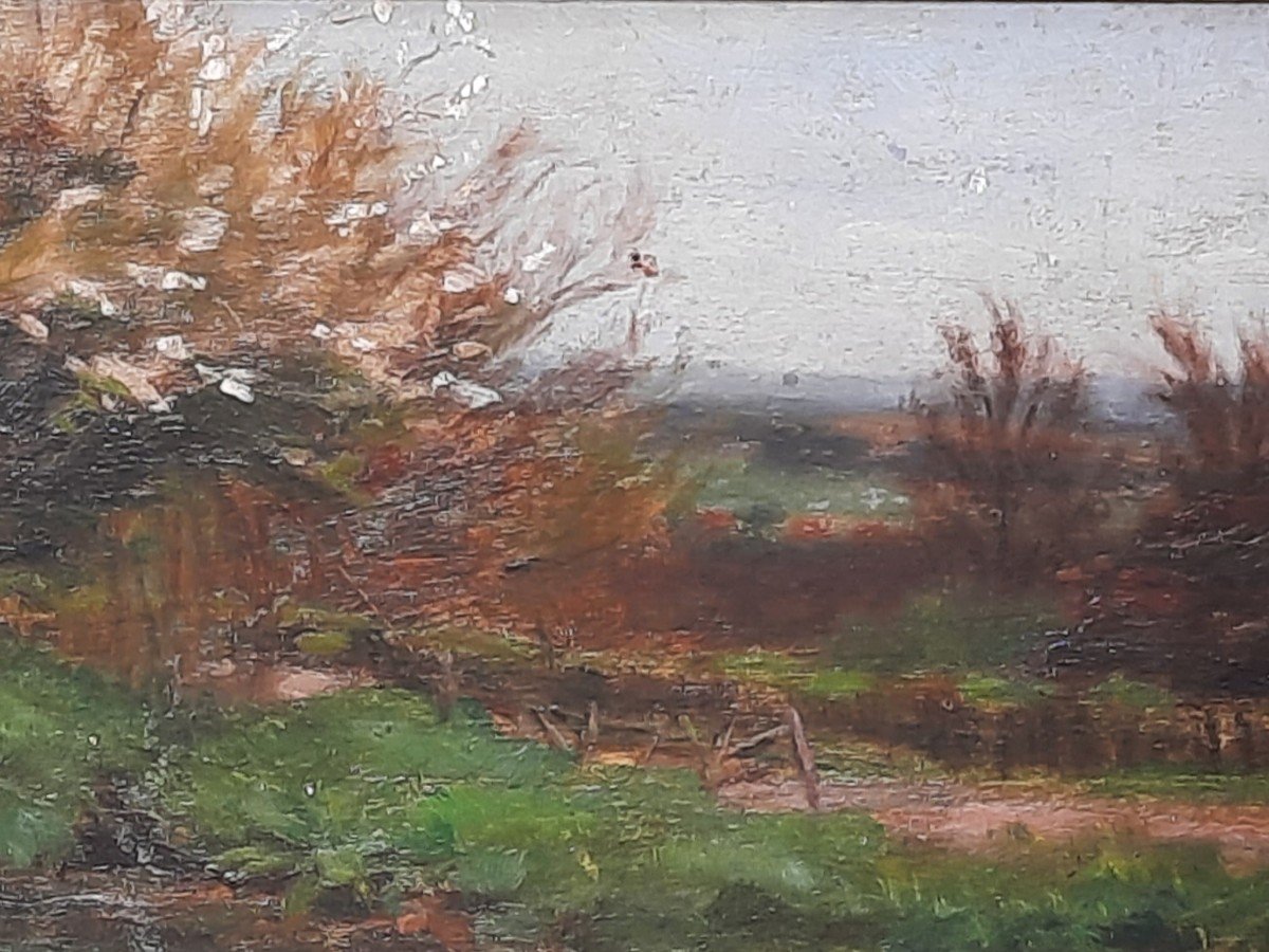 Huile Sur Panneau - Paysage - XXe Siècle-photo-2