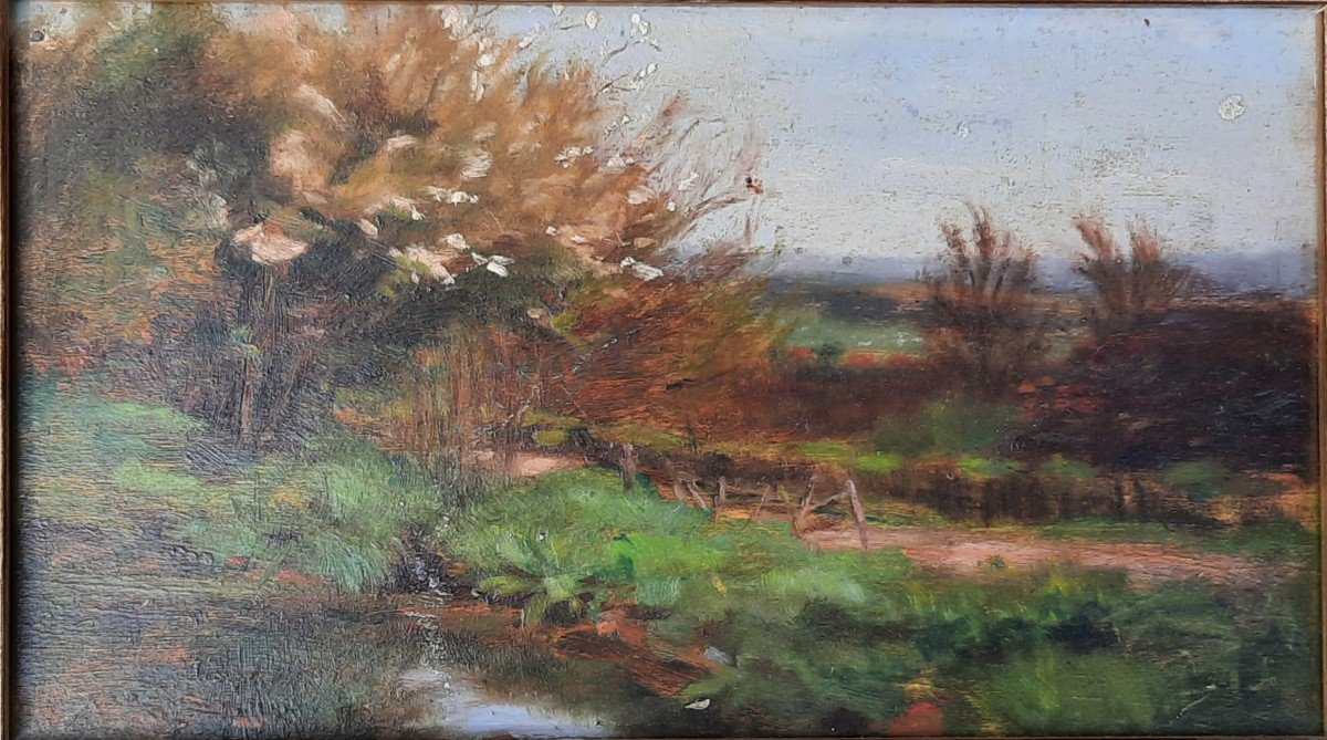 Huile Sur Panneau - Paysage - XXe Siècle