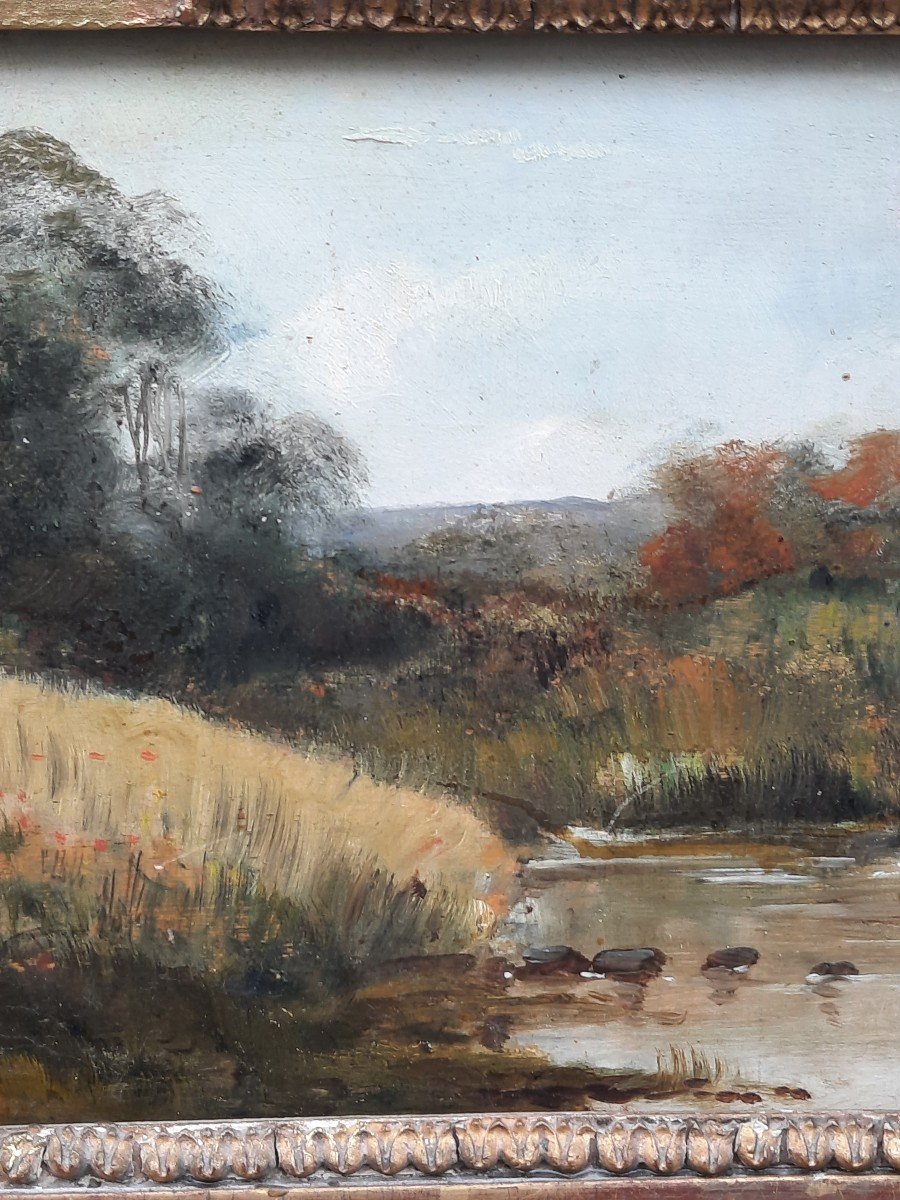 Oil On Panel - At The Edge Of A Pond - 20th Century-photo-3