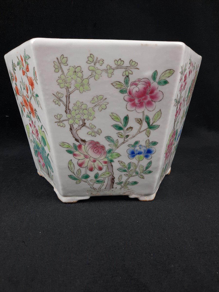 Porcelain Plant Pot - China-photo-2