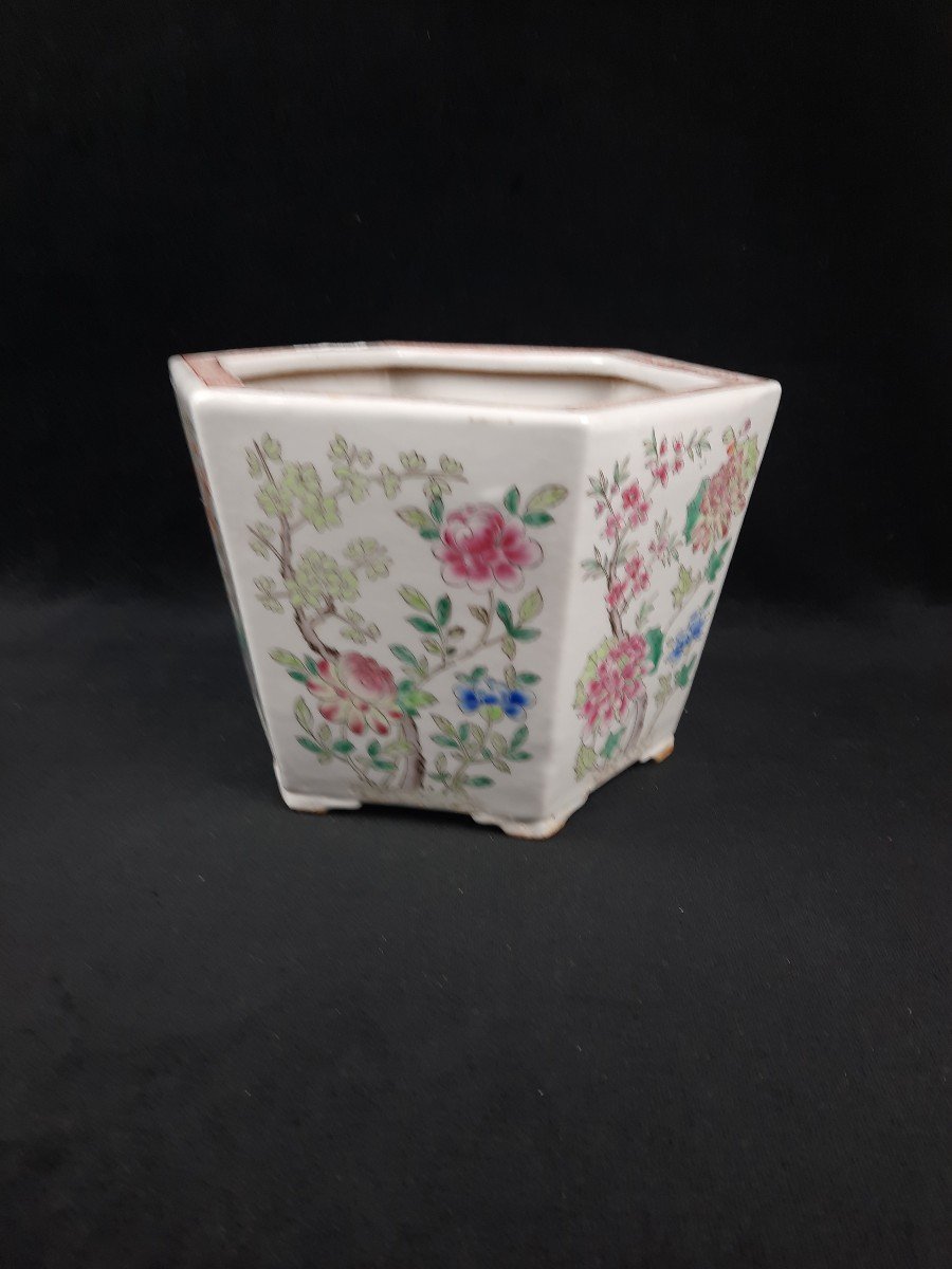 Porcelain Plant Pot - China-photo-3