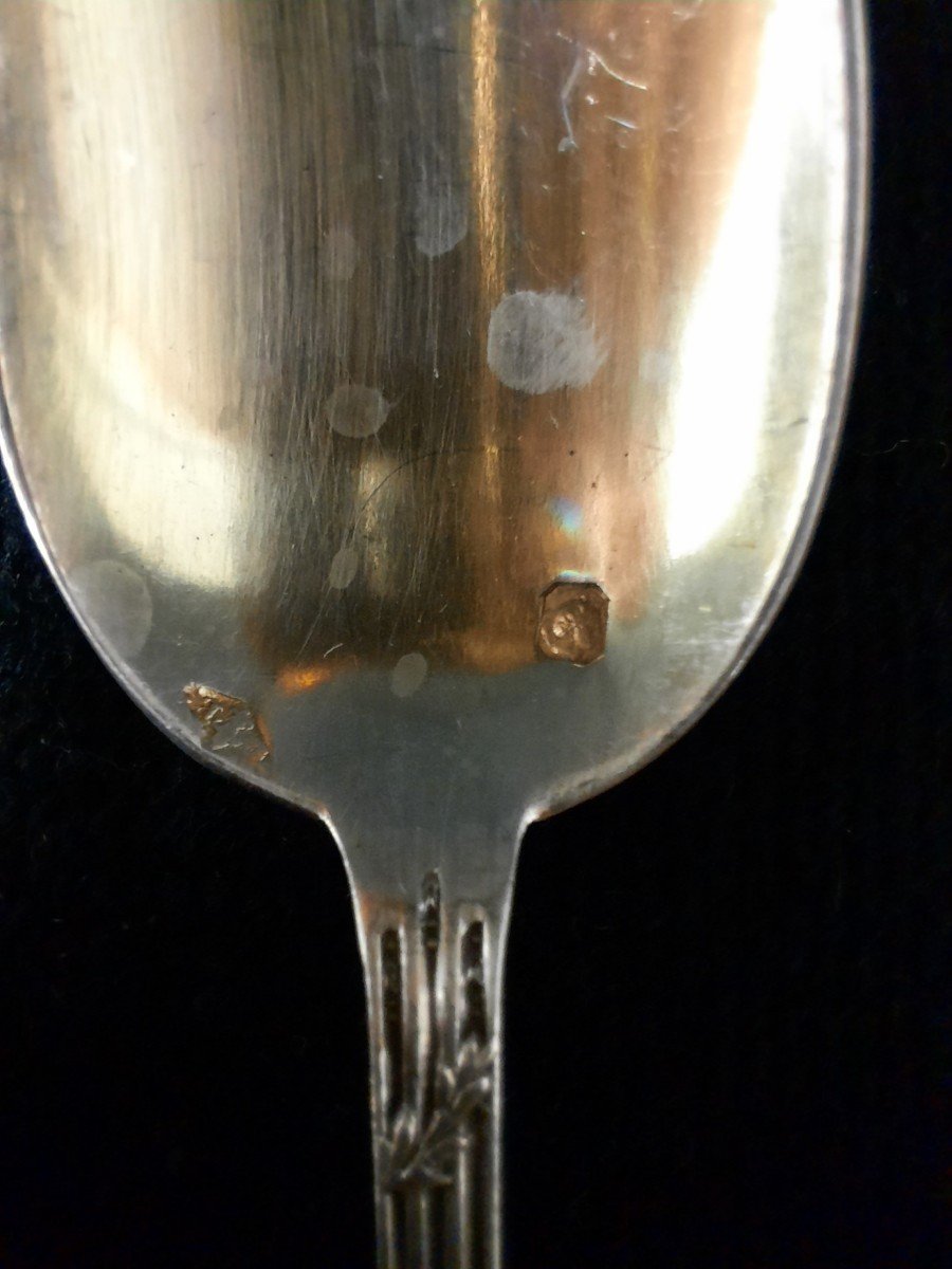 12 Minerva Silver Spoons - 1900 -photo-4