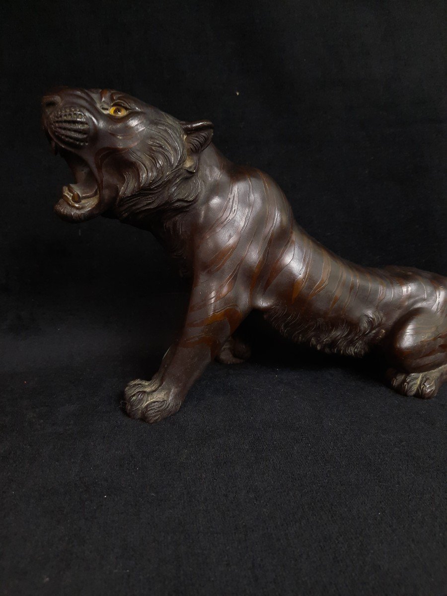 Bronze - Tigre - Japon (xixe Si&egrave;cle)-photo-3