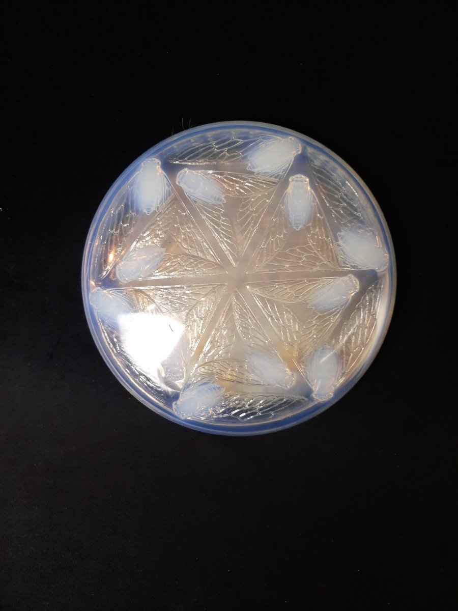 R. Lalique -  Bonbonnière  En Verre Opalescent  et Satin - Cigale (xxe Siècle)-photo-2