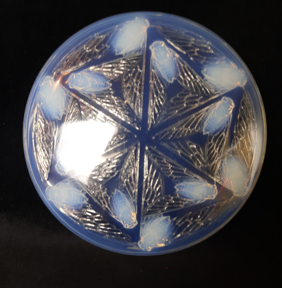 R. Lalique -  Bonbonnière  En Verre Opalescent  et Satin - Cigale (xxe Siècle)