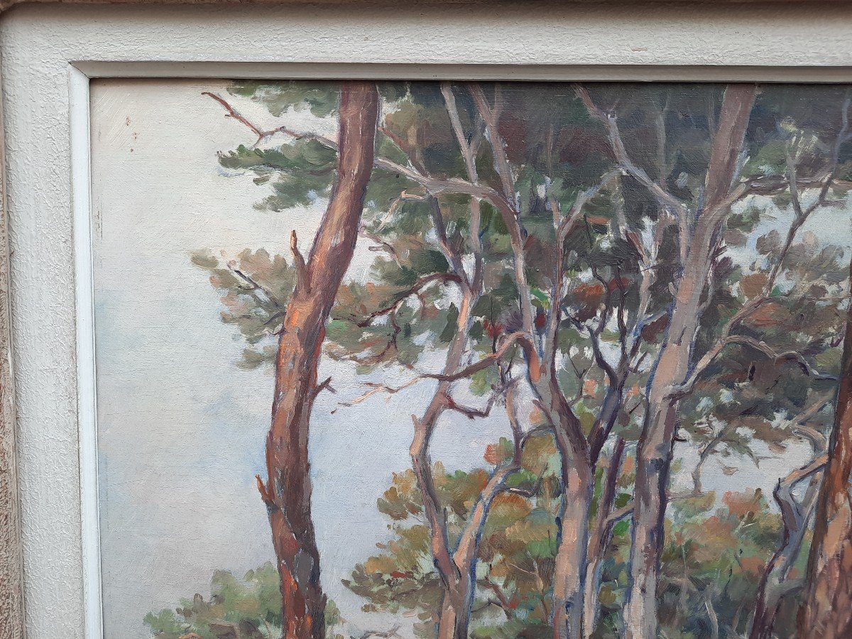 Huile Sur Panneau - Paysage Du Var - Maurice Patton (xxe Siècle)-photo-1