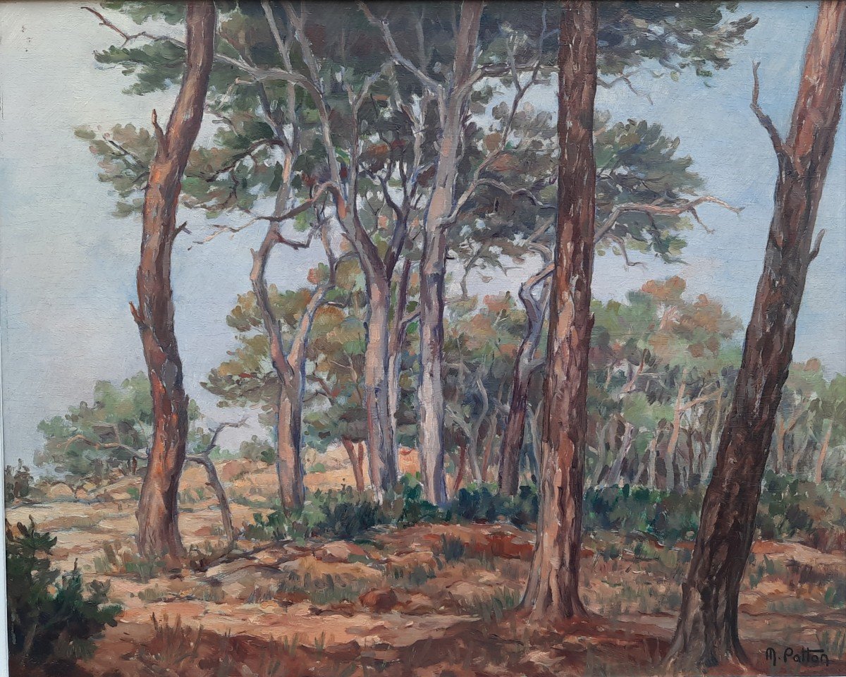 Huile Sur Panneau - Paysage Du Var - Maurice Patton (xxe Siècle)