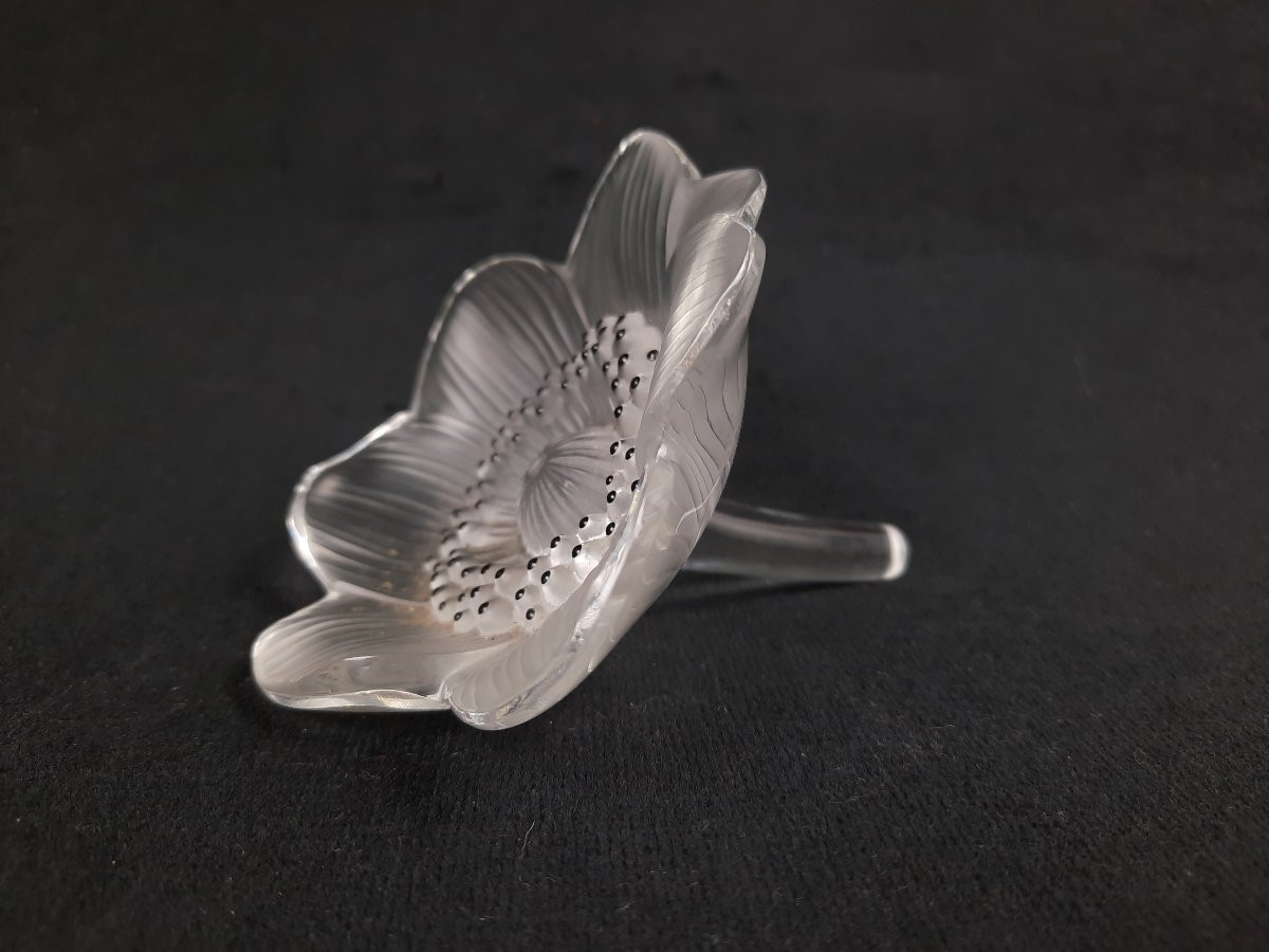 Lalique - Anemone Crystal Paperweight-photo-2